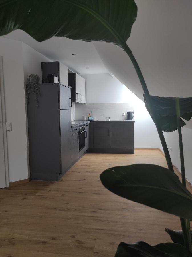 Ferienwohnung Im Distelweg Scheid  Exteriör bild